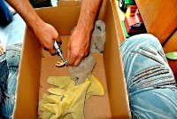 /album/a10-6-2013/krouzkovani-1-jpg1/